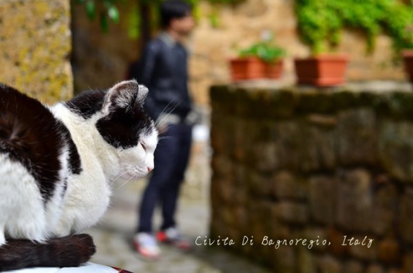 在天空之城,西西里和马耳他的七天,马耳他自助