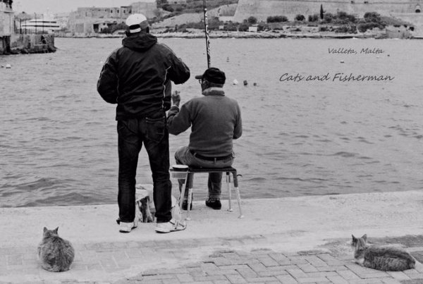 在天空之城,西西里和马耳他的七天,马耳他自助