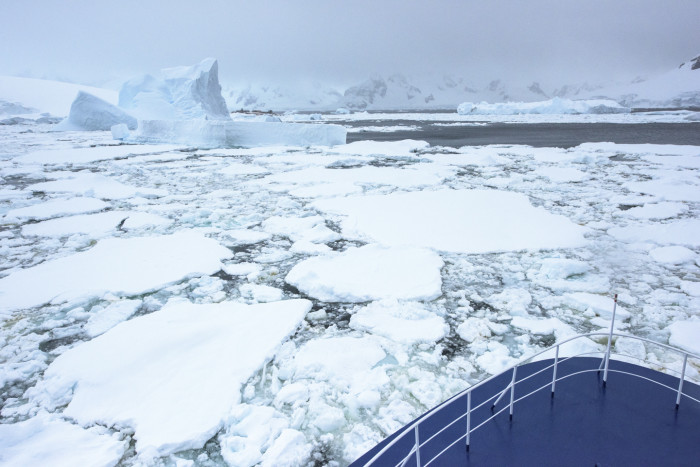 哪个季节去南极好?什么时候去南极最好