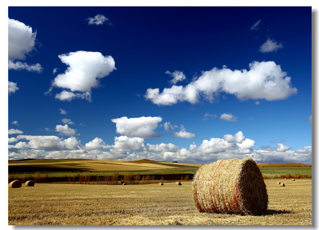 wKgBs1cDNLKAc4BbAAHpWkjrqwY63.jpeg?imageView2%2F2%2Fw%2F600%2Fh%2F600%2Fq%2F90%7Cimageslim