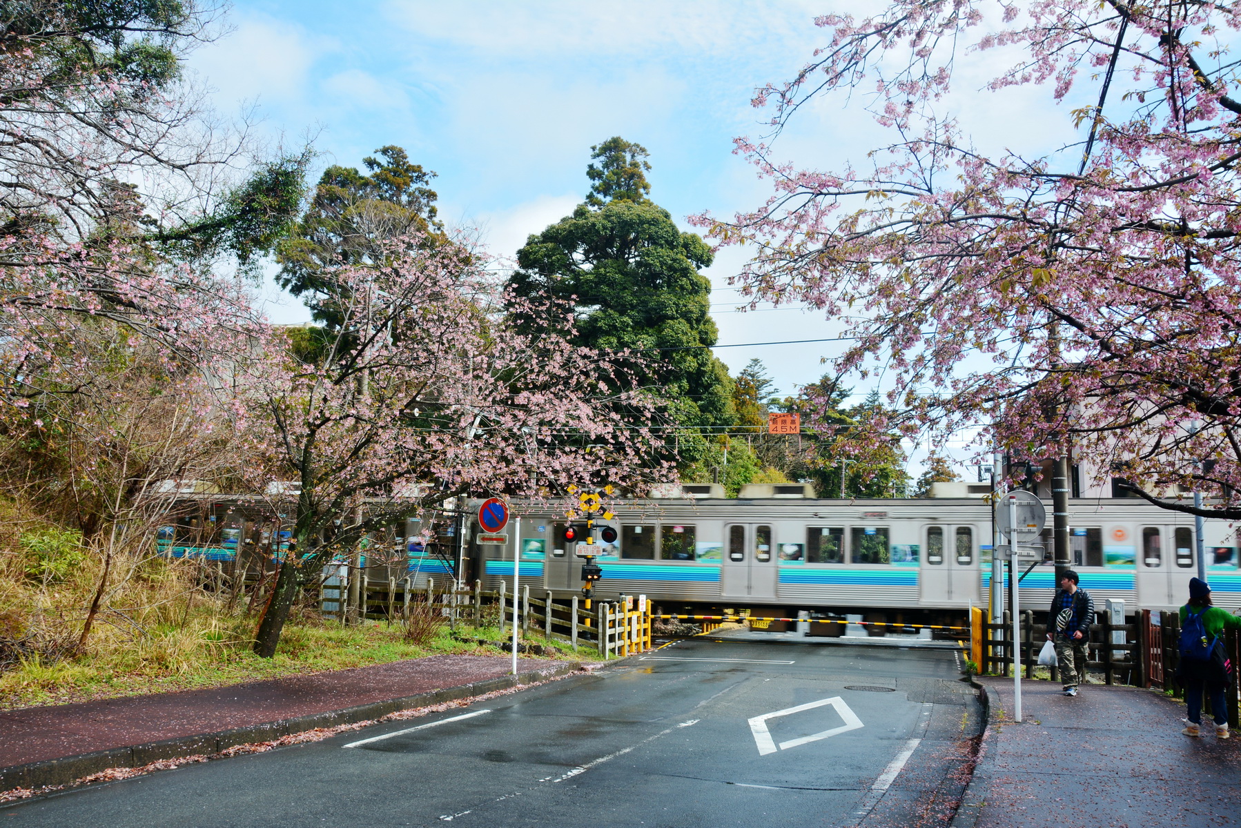 伊豆市          