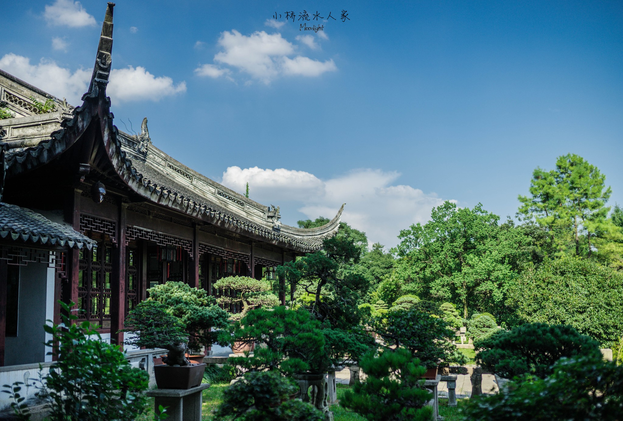 苏州 自由行攻略 万景山庄是一处仿古建筑园林
