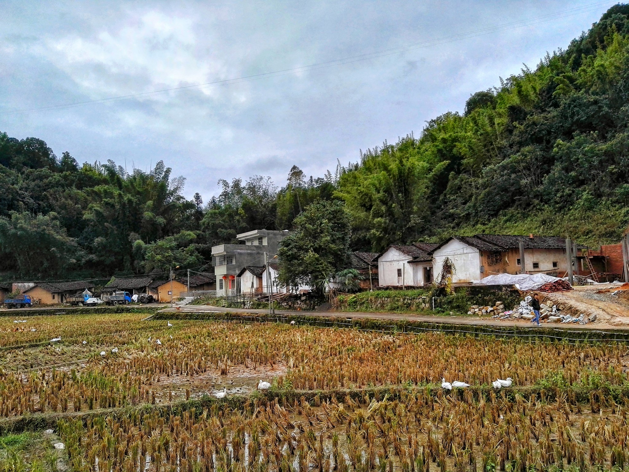 黄花村 马蜂窝