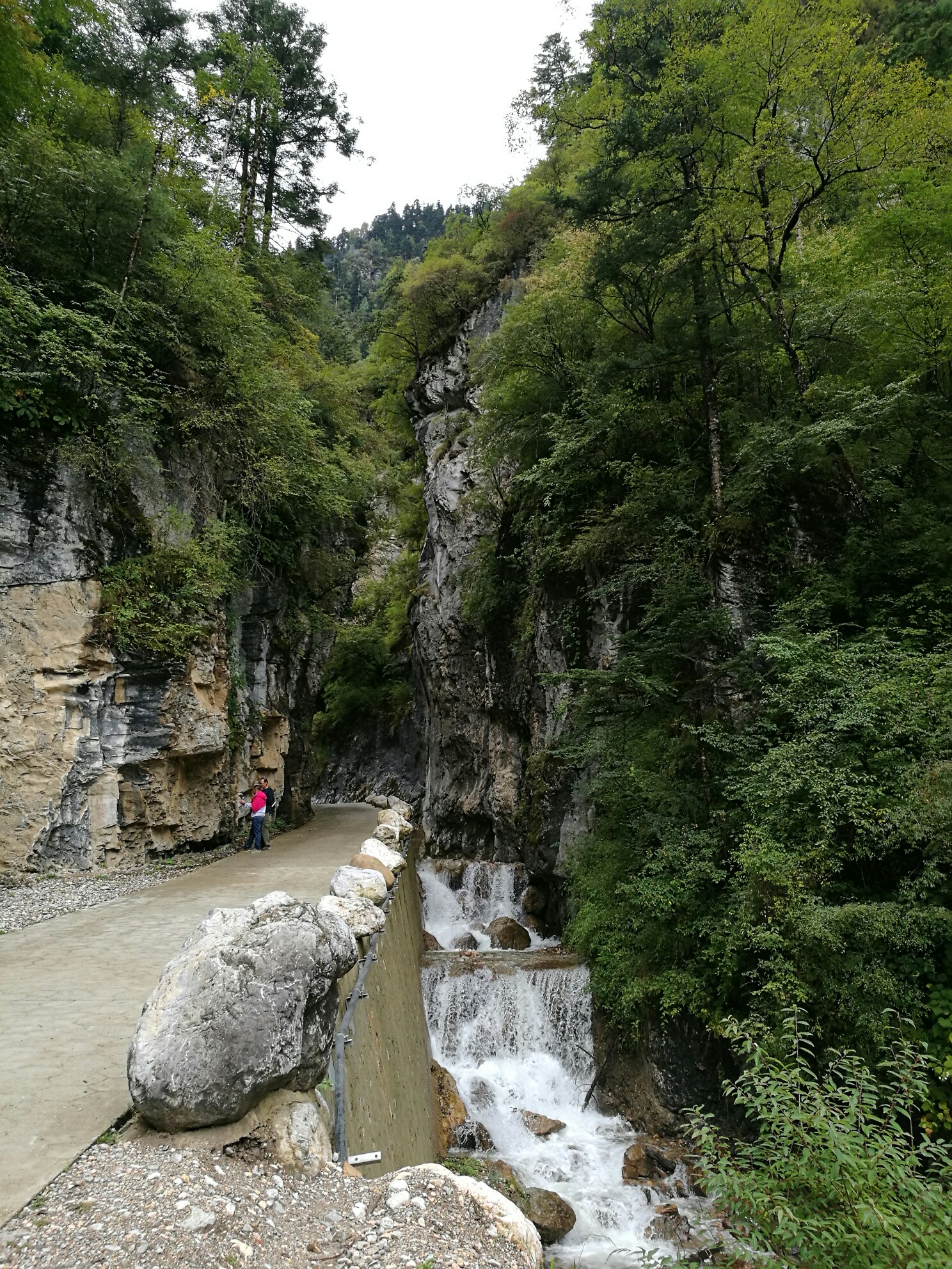 石成县人口_成县鸡峰山(3)