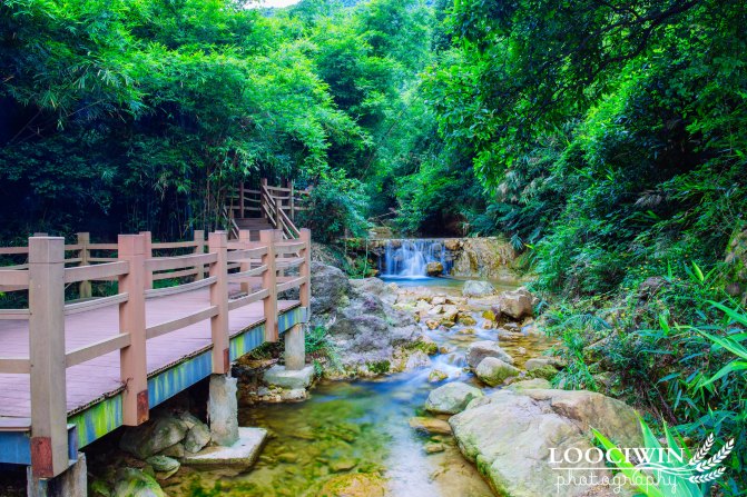 周末去佛山高明区,采摘火龙果,吃鸡煲蟹