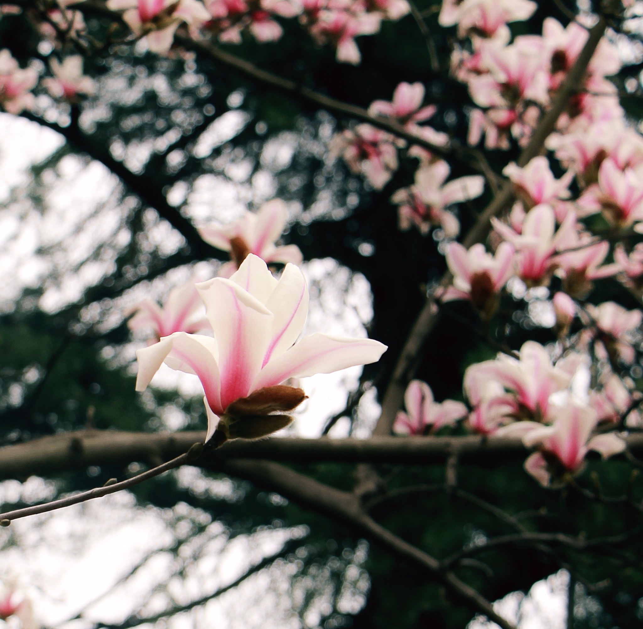 几月份去南京最好，天气怎么样，去几天合适