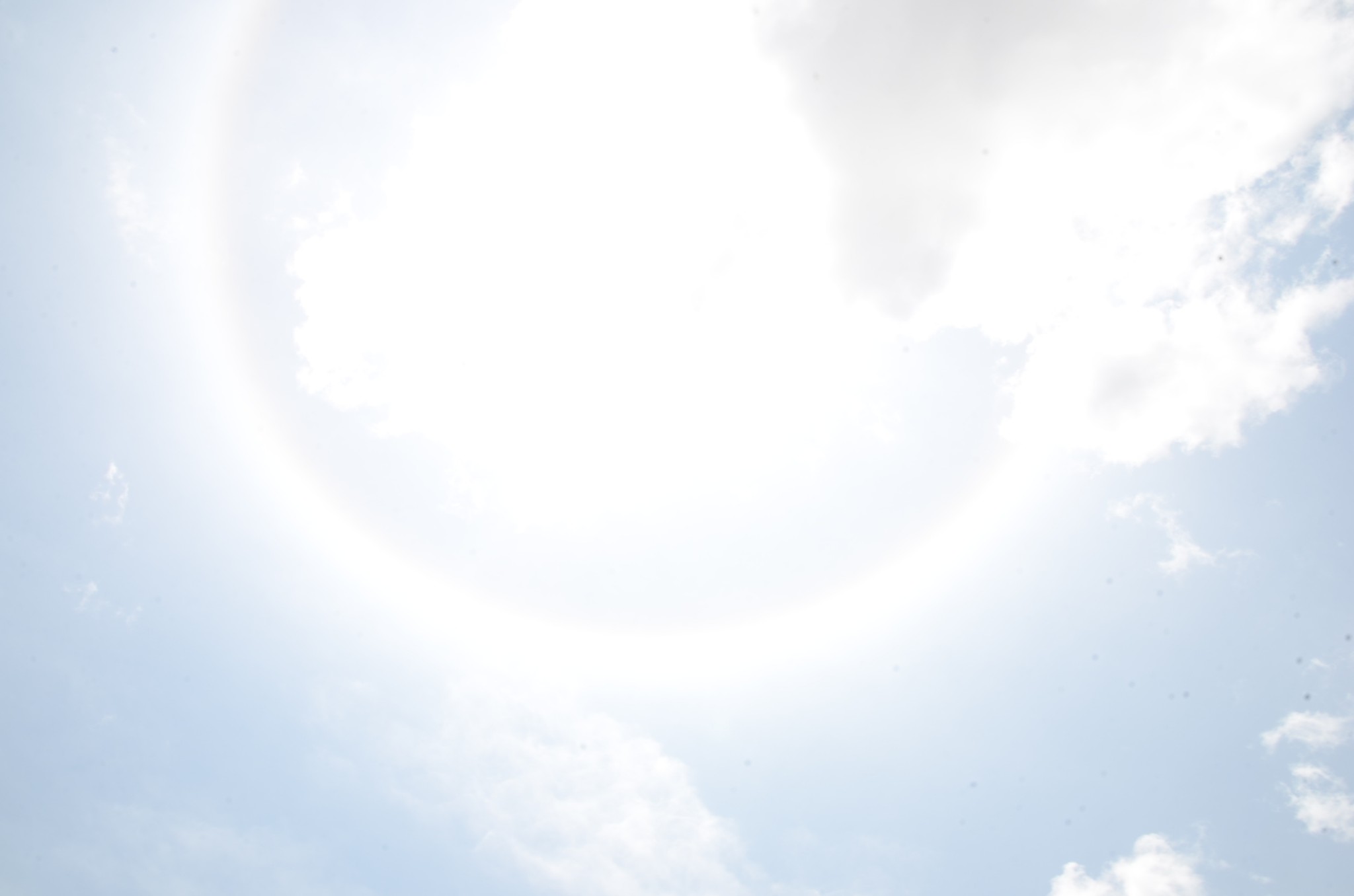 wKgBs1cv92yAJpMXAAKJtmX4uJA13.jpeg?imageView2%2F2%2Fw%2F600%2Fh%2F600%2Fq%2F90