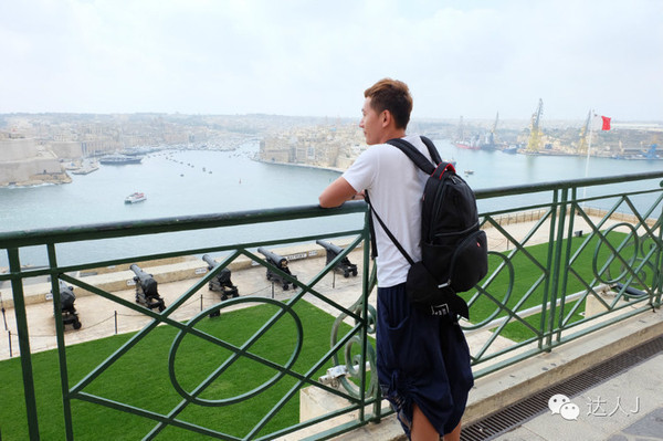 看看这只马耳他猫的表情,它好像错过了几个亿