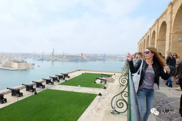 看看这只马耳他猫的表情,它好像错过了几个亿