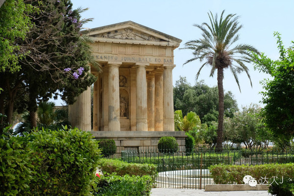 看看这只马耳他猫的表情,它好像错过了几个亿