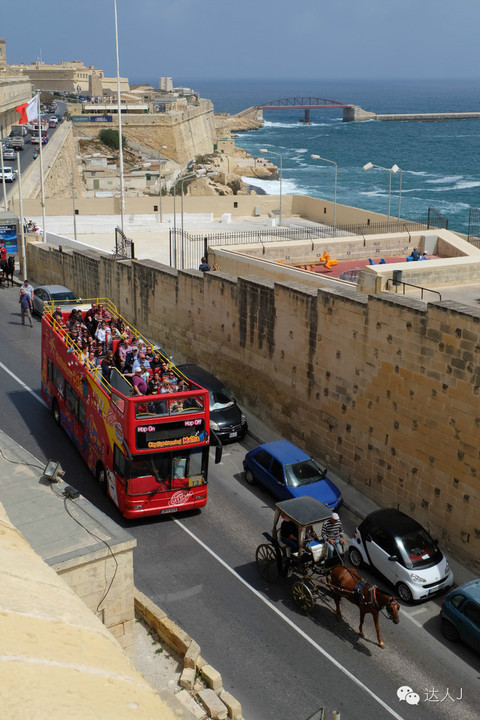 看看这只马耳他猫的表情,它好像错过了几个亿