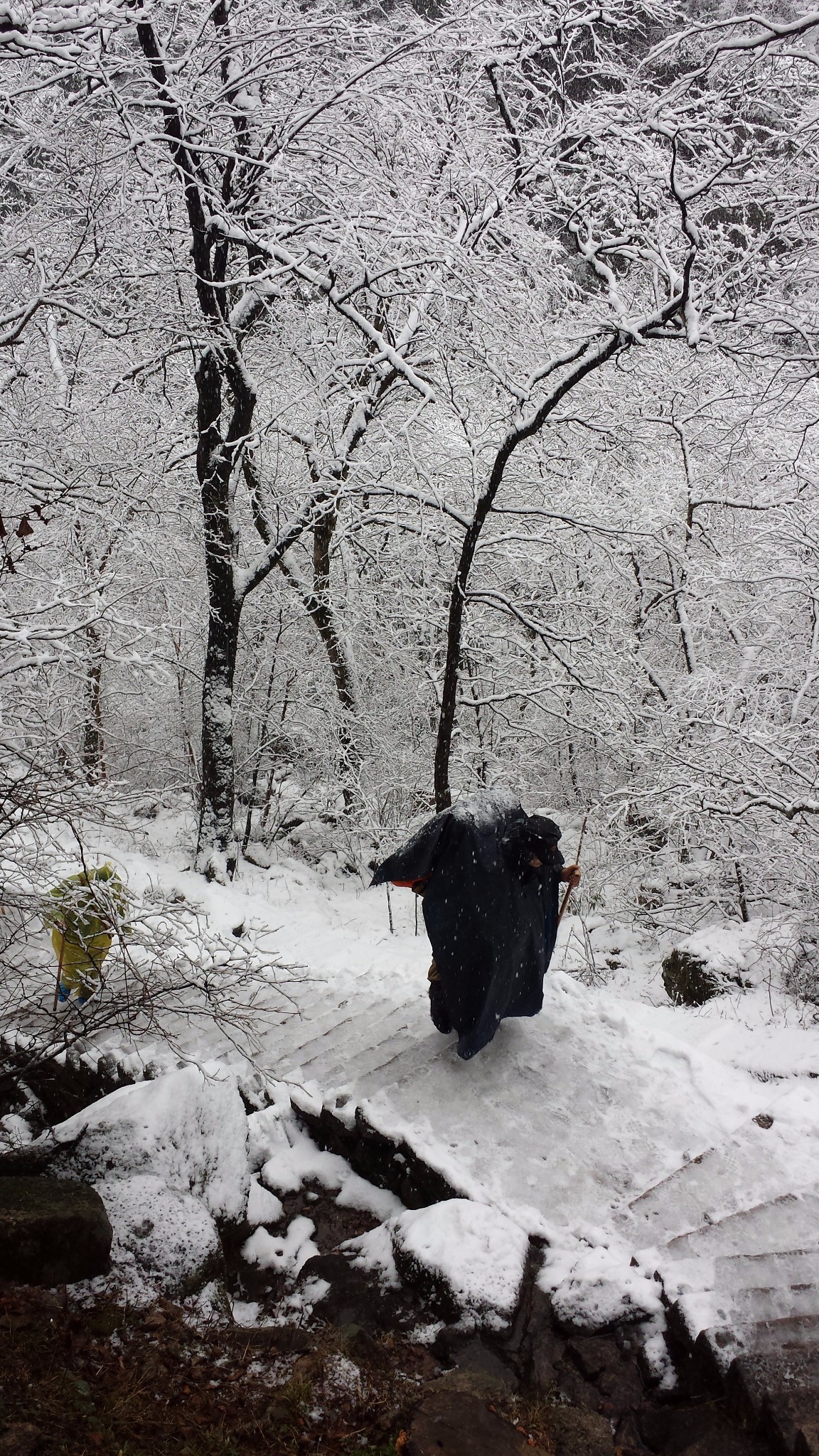 大雪纷飞,游黄山