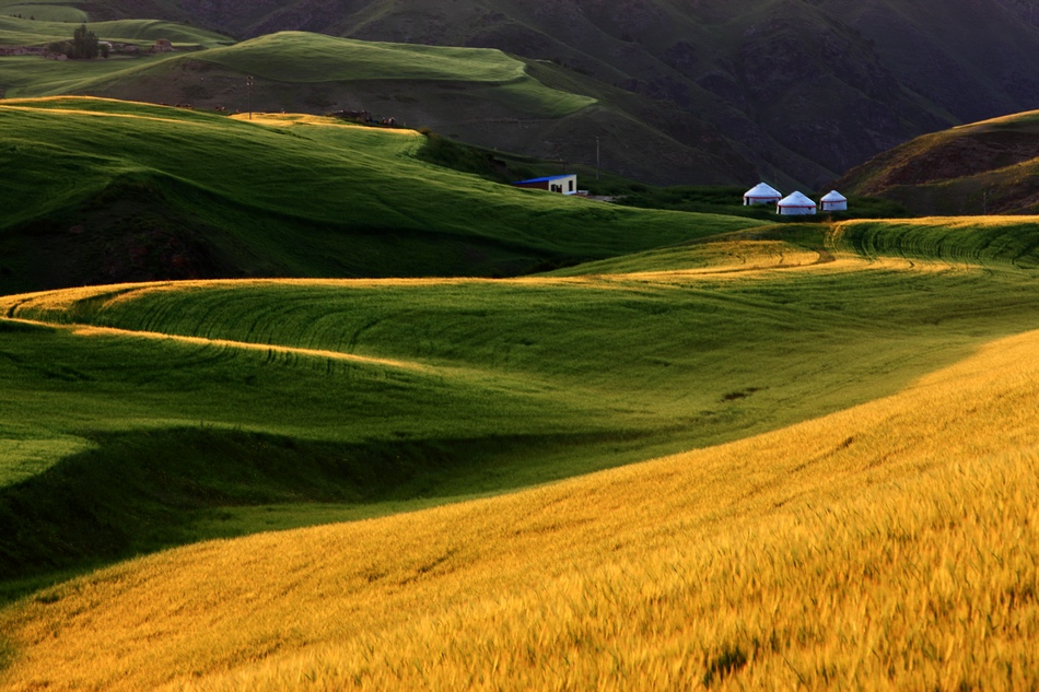 7月底打算暑假带孩子去新疆，适合去南疆还是北疆呢