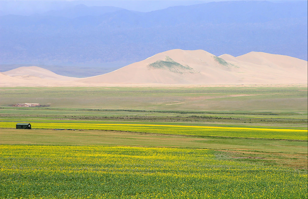 7月底打算暑假带孩子去新疆，适合去南疆还是北疆呢