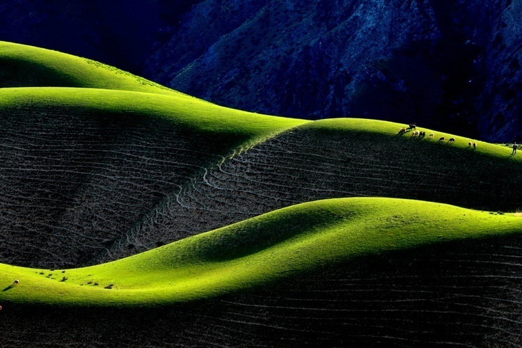 7月底打算暑假带孩子去新疆，适合去南疆还是北疆呢