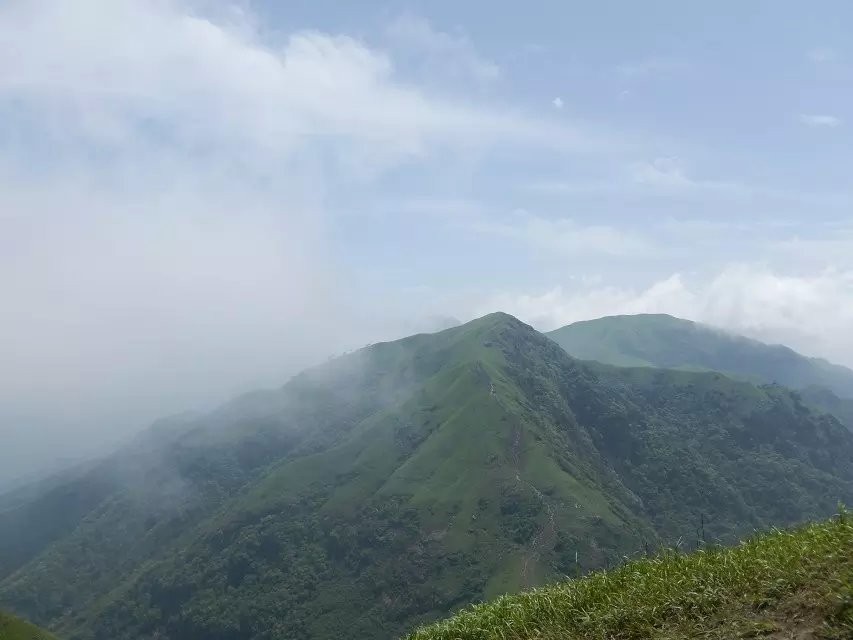 龙门县有多少人口