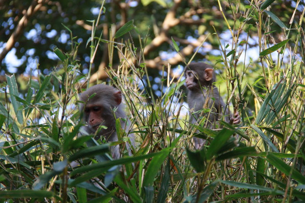 wKgBs1Z5ad2AYFIQAAHmykSJpsw44.jpeg?imageView2%2F2%2Fw%2F600%2Fq%2F90%7CimageMogr2%2Fstrip%2Fquality%2F90