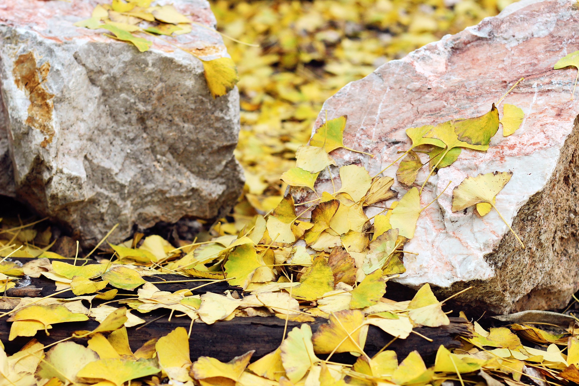 wKgBs1hE3HuAUDL7AAyacV9dVGY82.jpeg?imageView2%2F2%2Fw%2F600%2Fh%2F600%2Fq%2F90