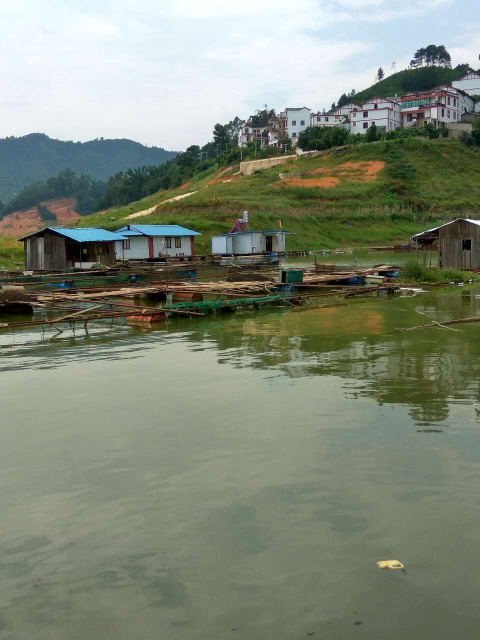 万峰湖钓鱼