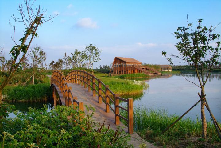 上海東灘溼地公園門票