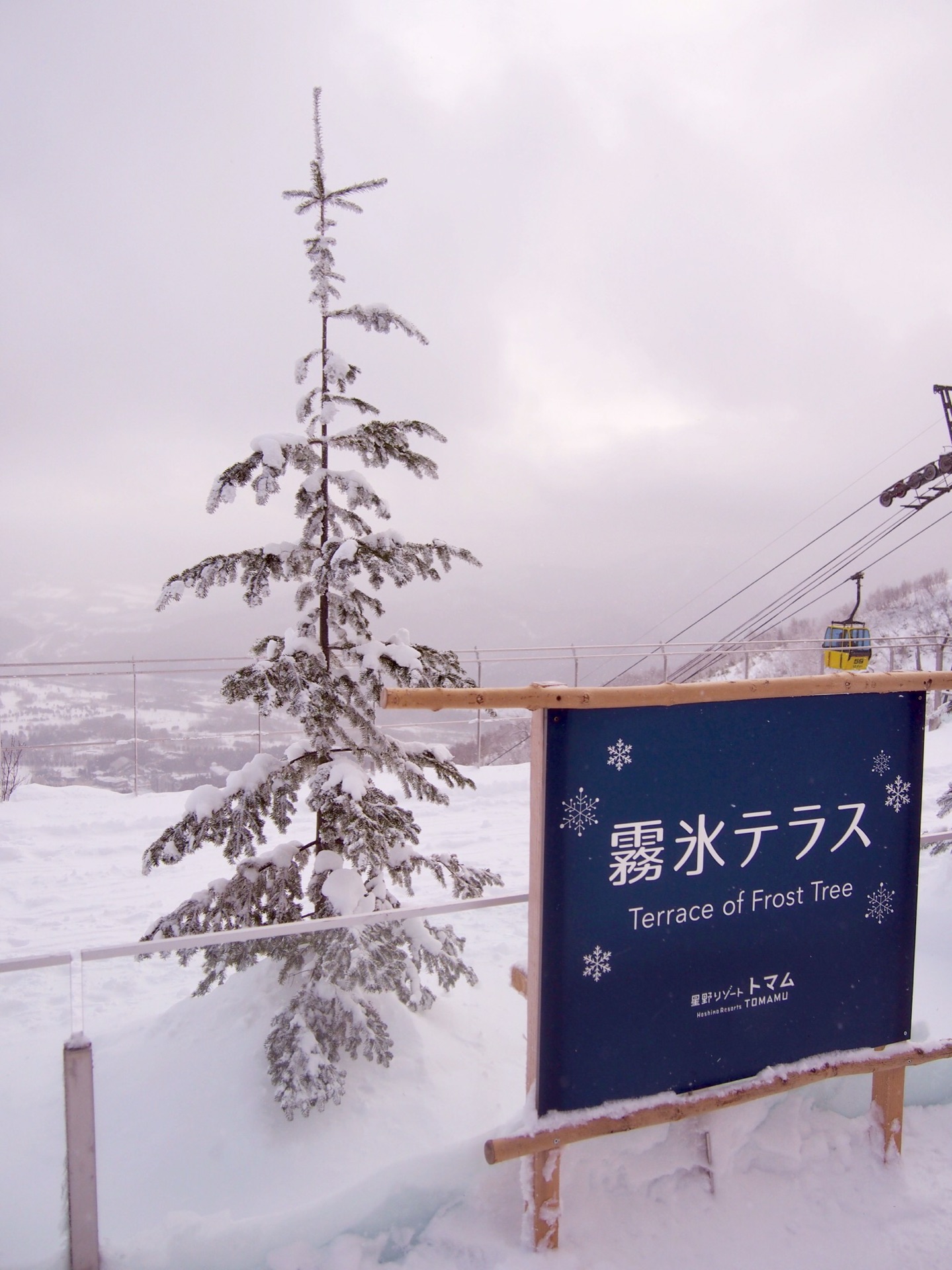 北海道自助遊攻略