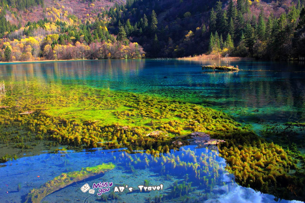 九寨溝冬天有水嗎,冬天去九寨溝好嗎-旅遊景點盤點-螞蜂窩旅遊指南