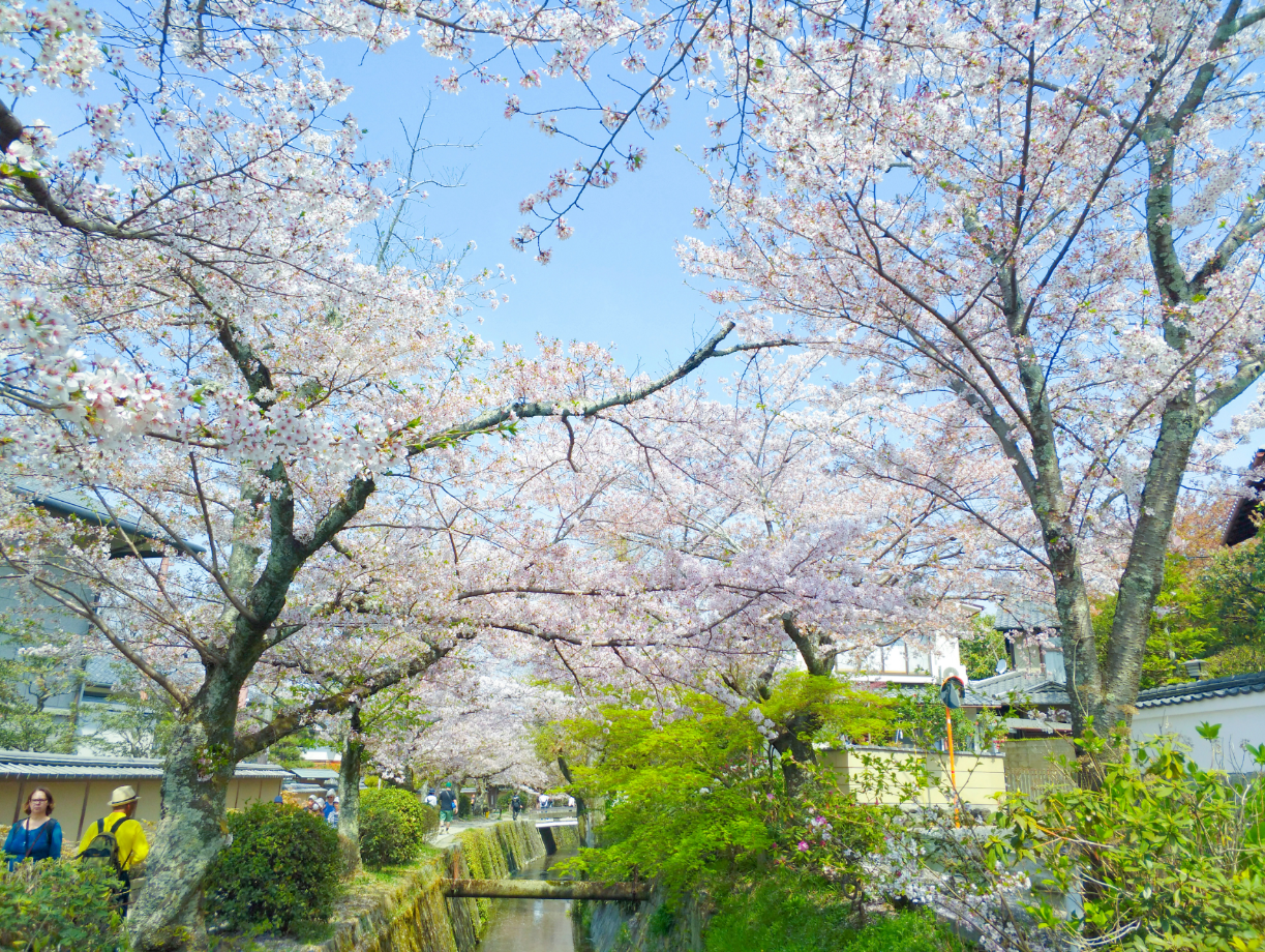 京都自助遊攻略