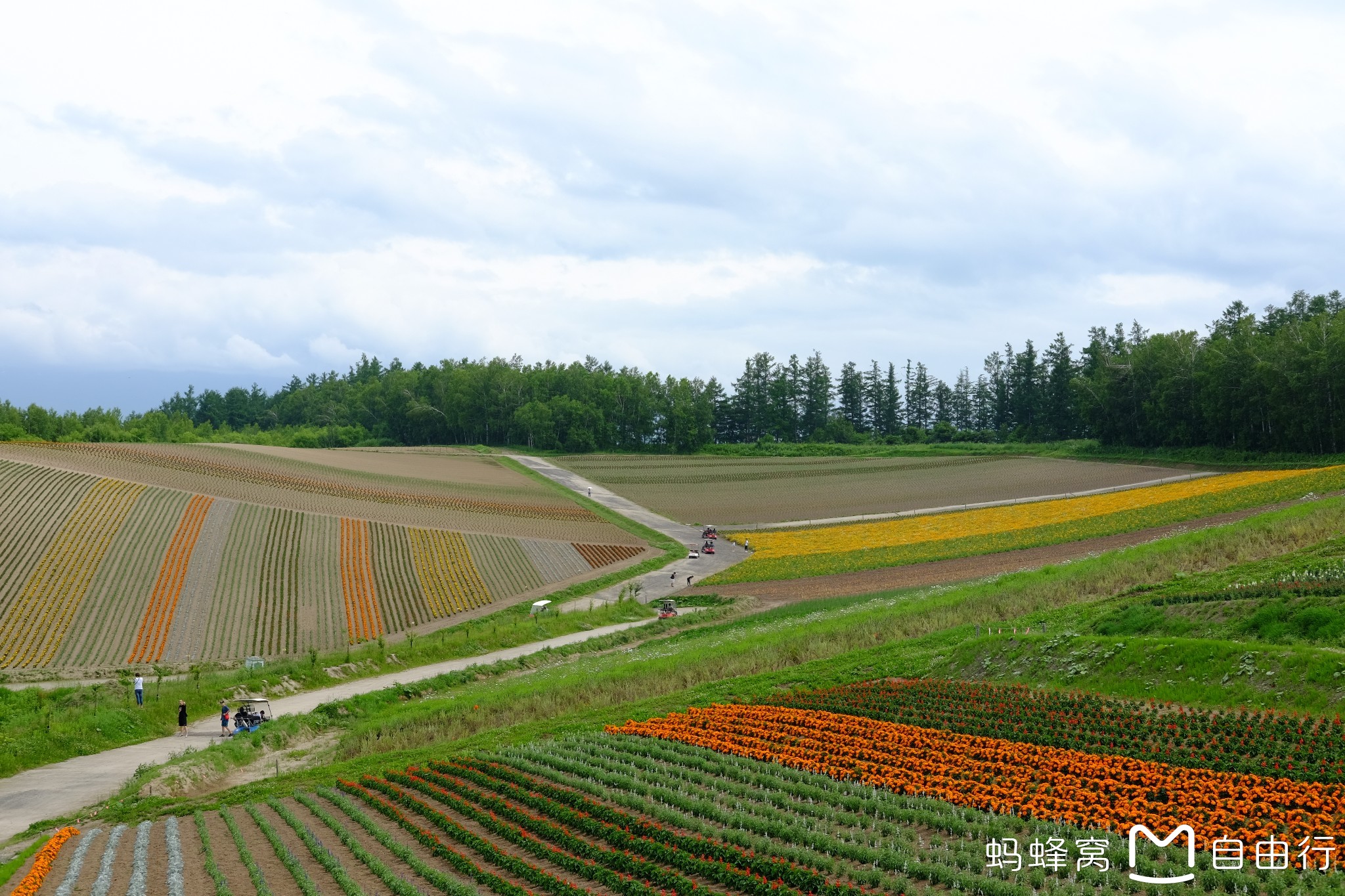 北海道自助遊攻略