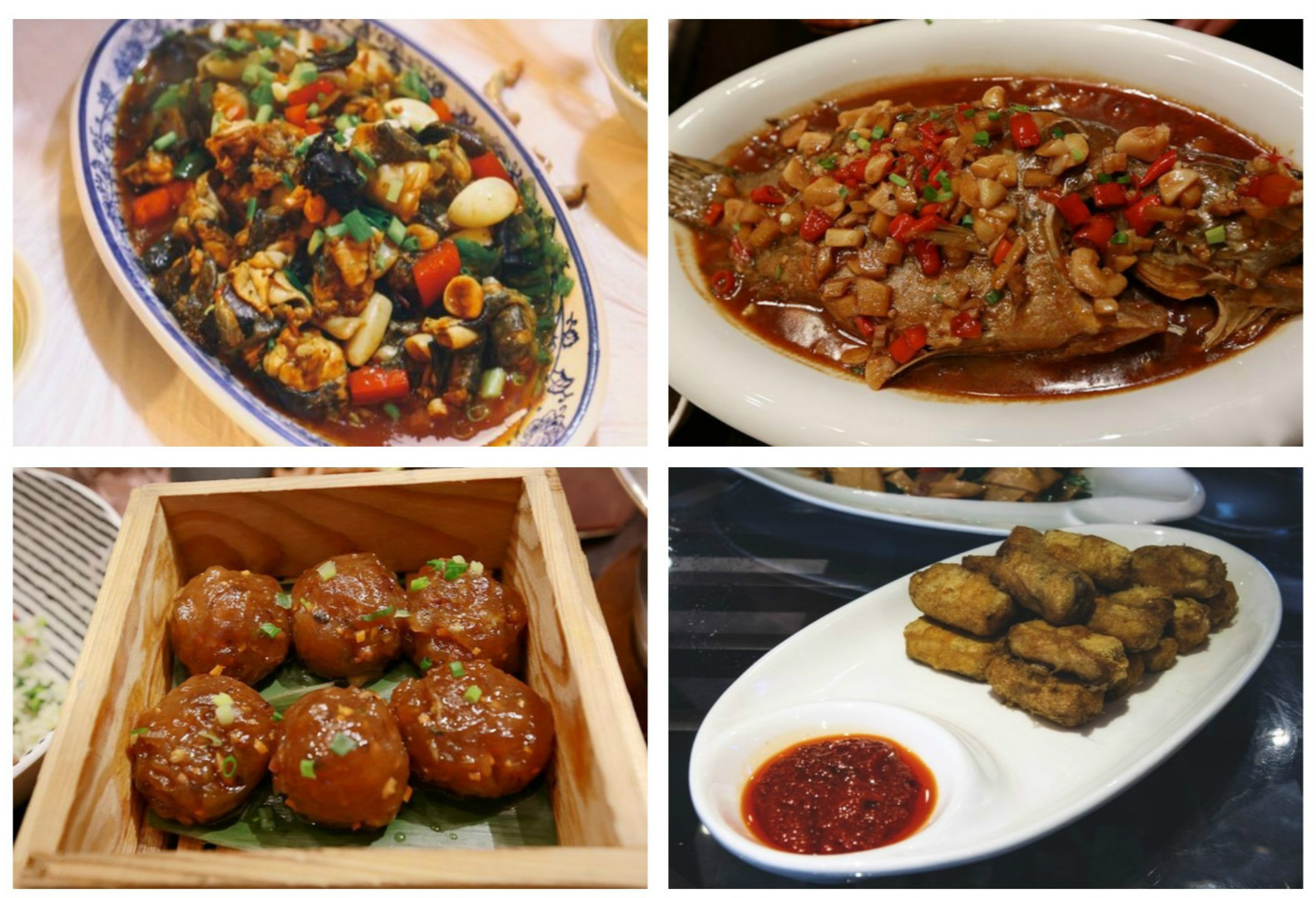 黄山看雪景冬天下雪自助旅游攻略