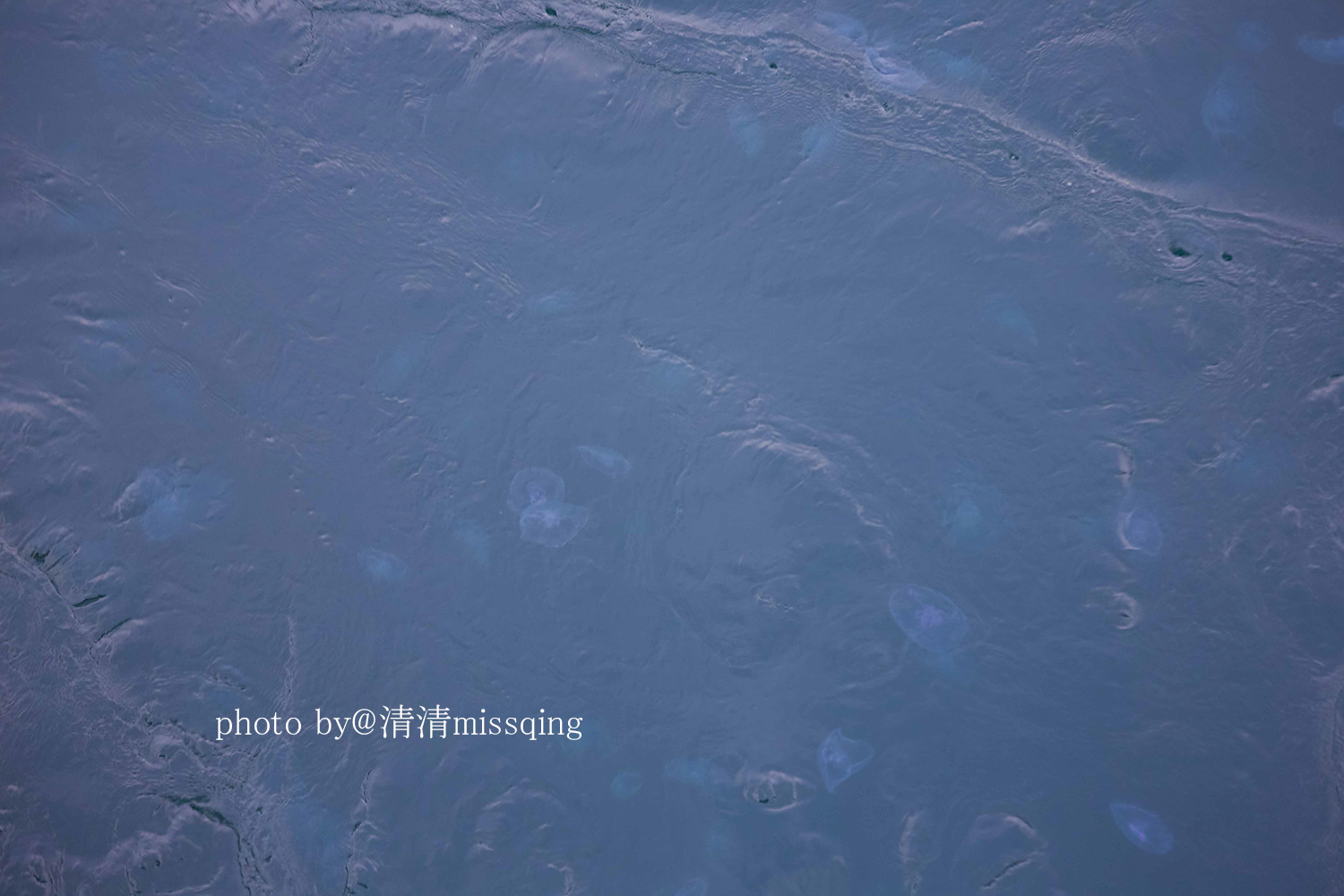 大溪地自助遊攻略