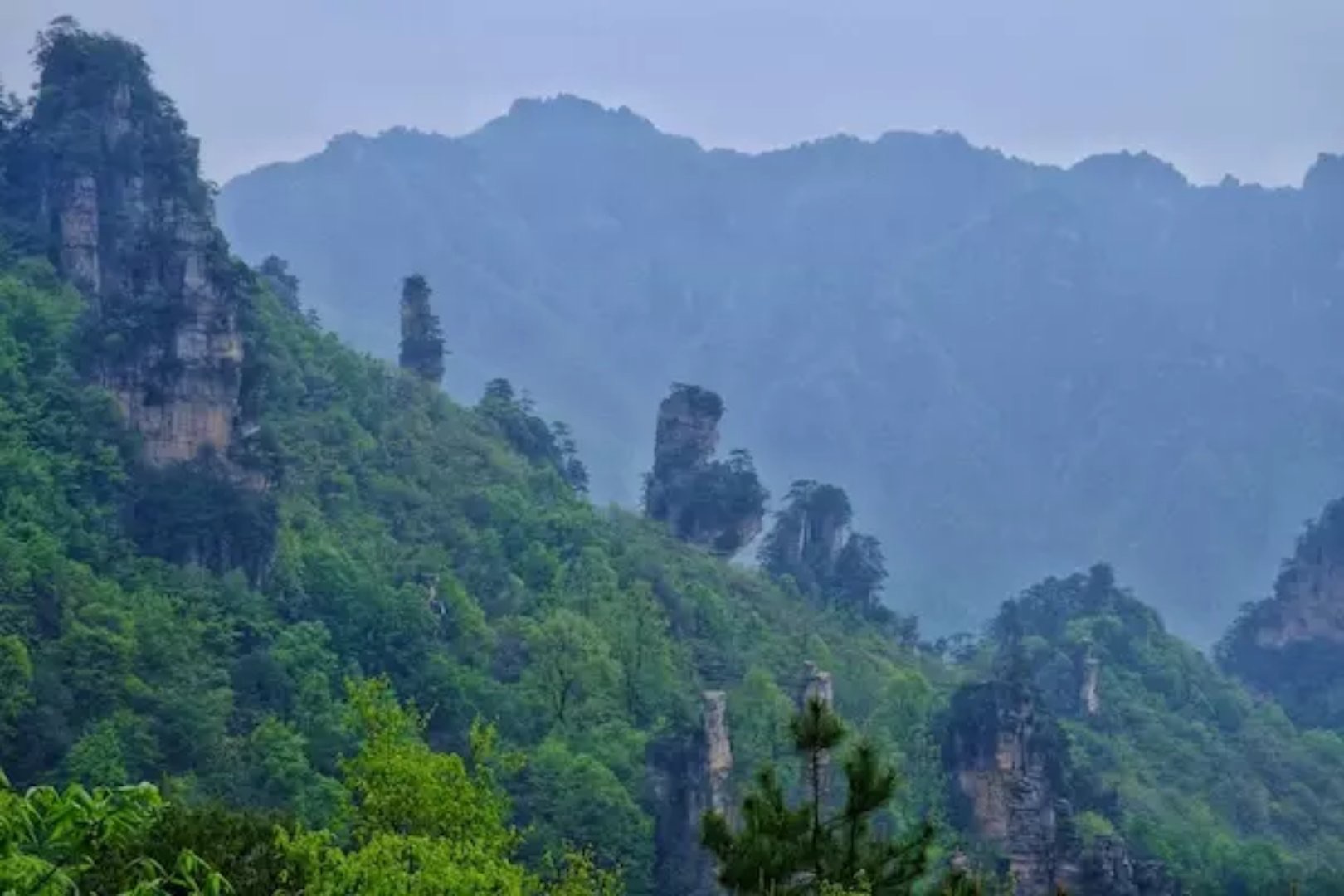 张家界有多少人口_...安静的一个人去张家界旅行(3)