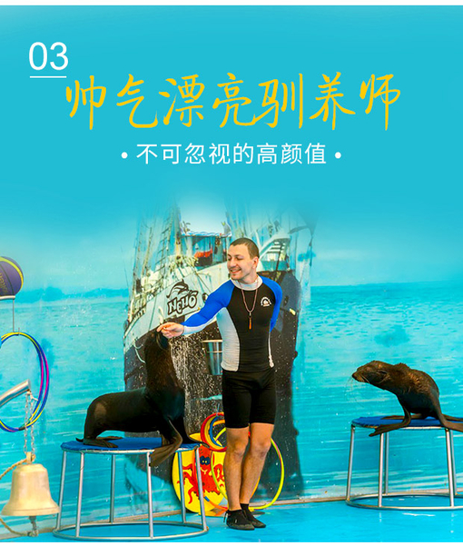 包含海豚造型电话机的词条