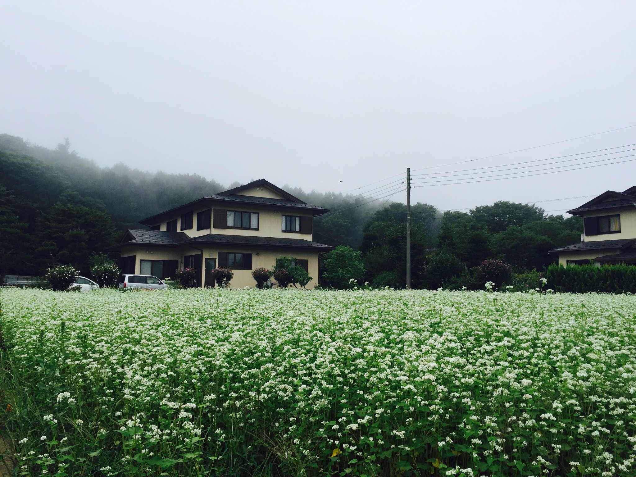 富士山自助遊攻略