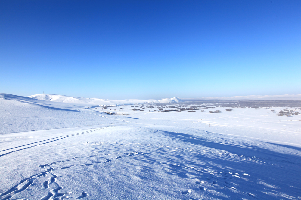 你怎麼那麼霸道/呼倫貝爾大雪原5日冰雪體驗之旅(根河/冷極村