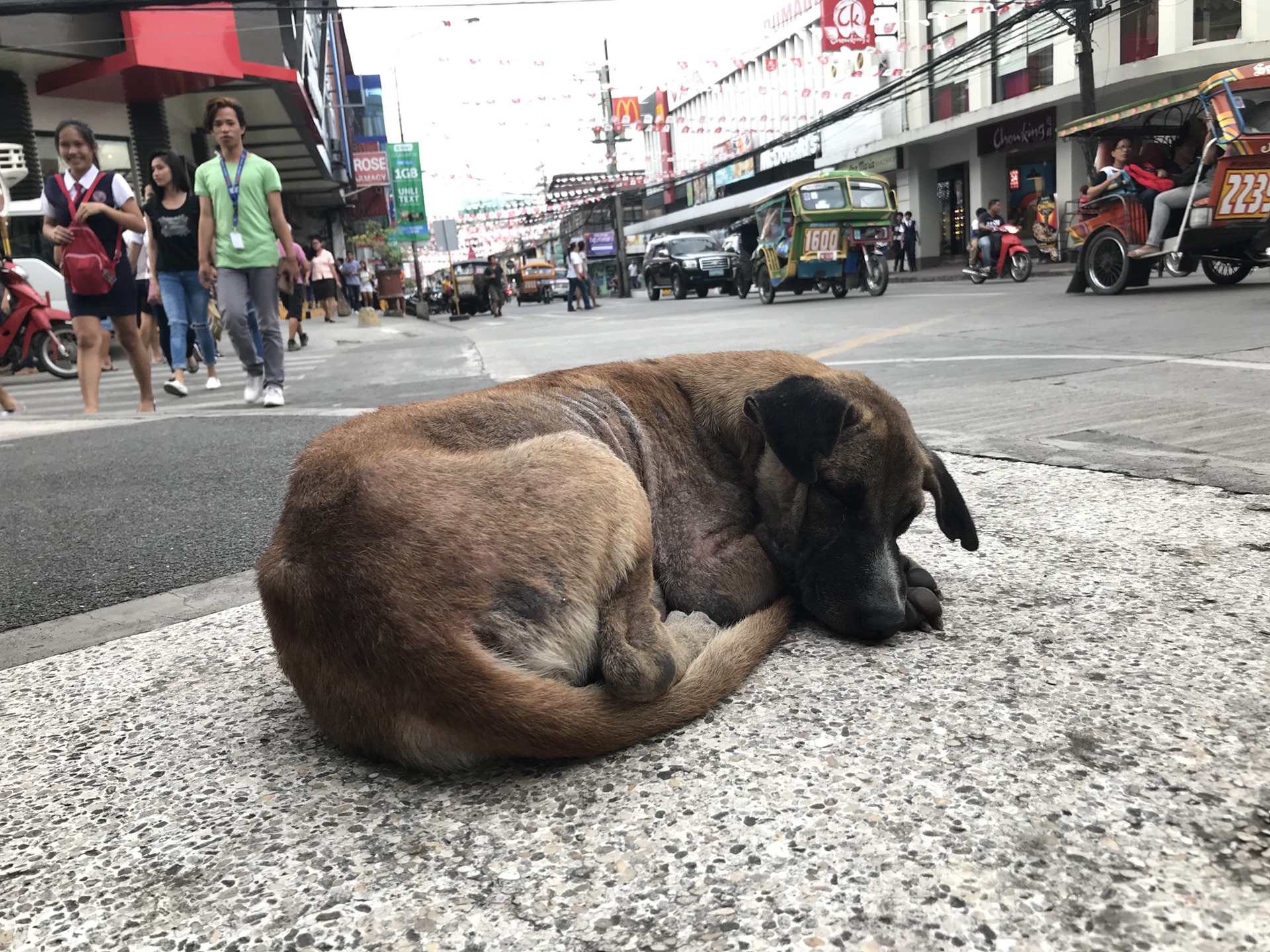 杜馬蓋地自助遊攻略