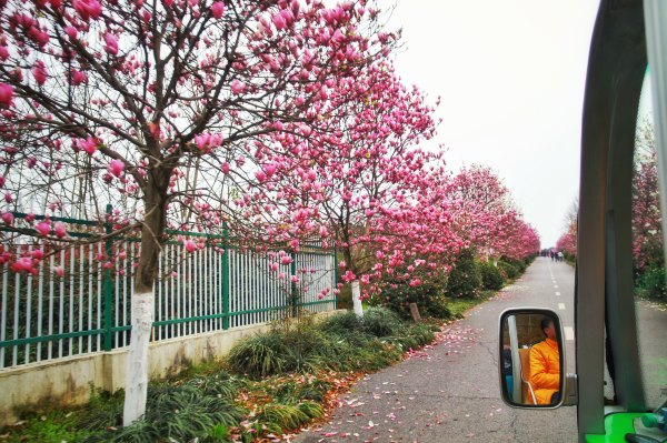 江西南昌鳳凰溝在這裡擁抱一個春暖花開