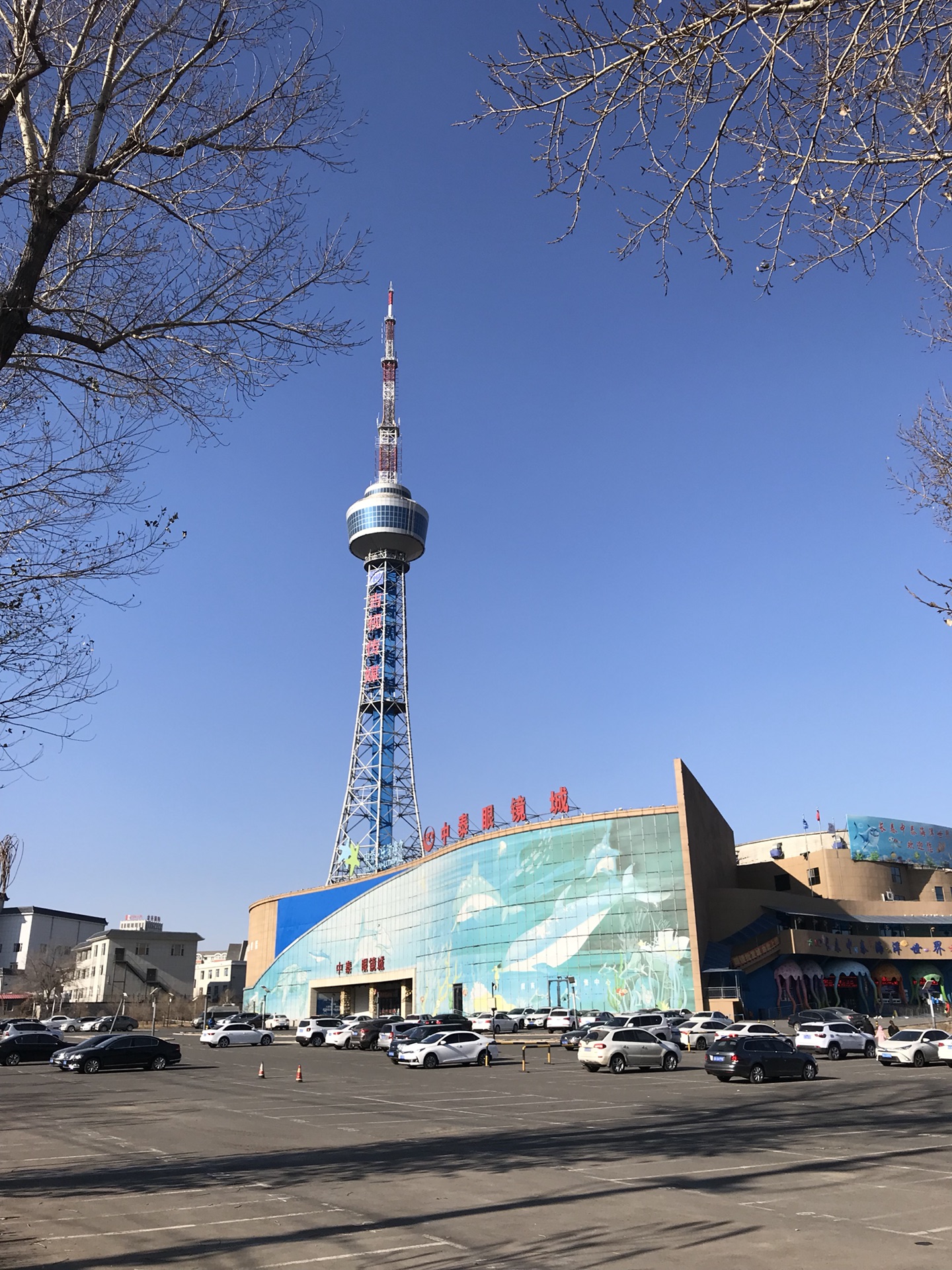 用脚丈量长春第六站:文化广场 新民大街