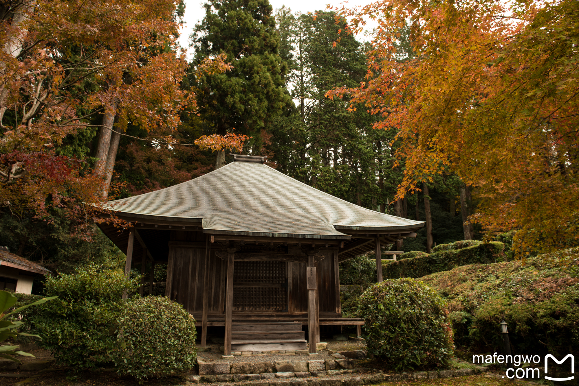 京都自助遊攻略