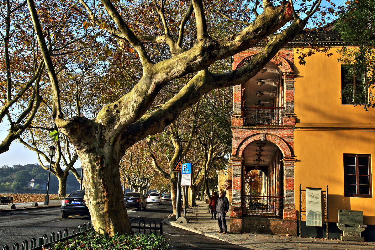 杭州北山街citywalk · 探寻西子湖畔的民国秘史(醉美秋景 / 民国风情