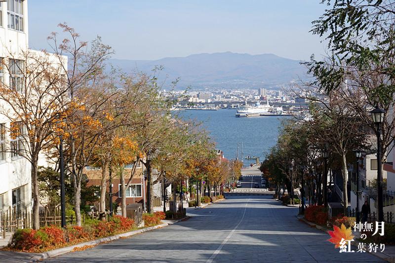 北海道自助遊攻略