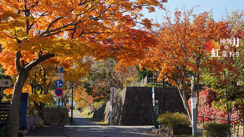 北海道自助遊攻略