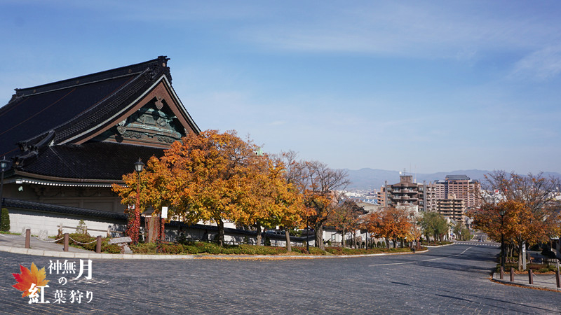 北海道自助遊攻略