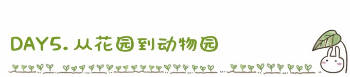 DAY5. 从花园到动物园 DAY5. 从花园到动物园