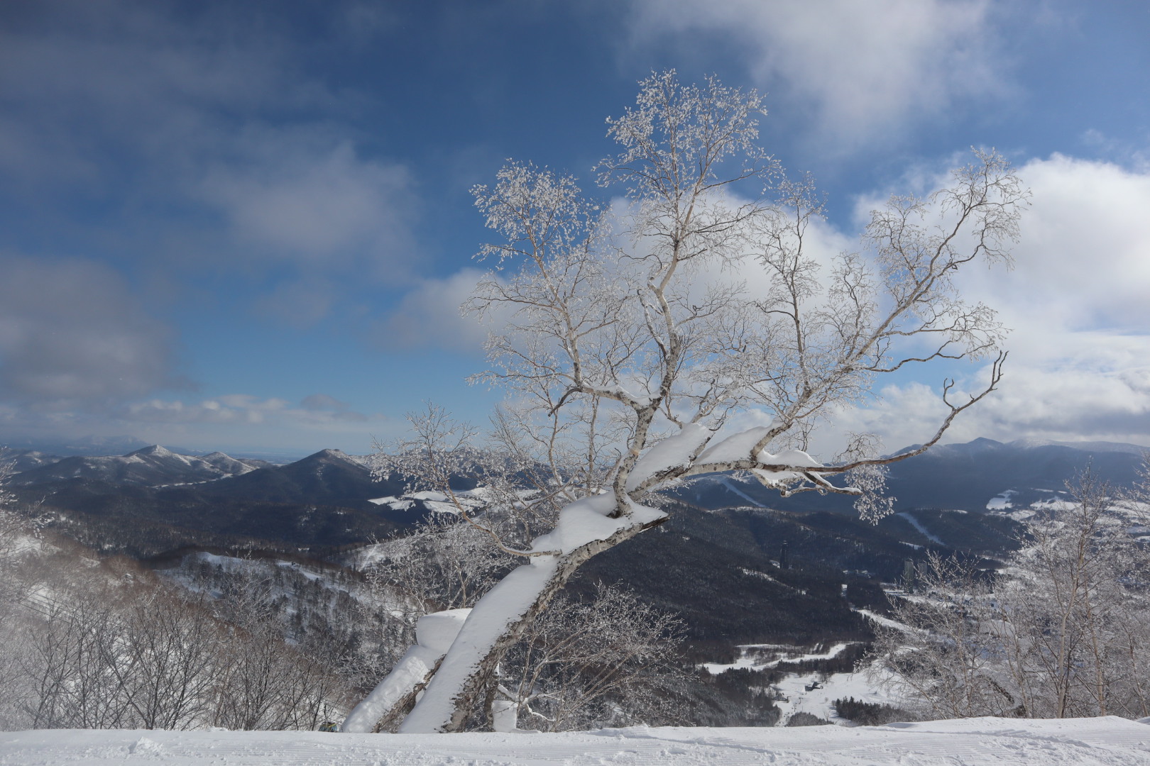 北海道自助遊攻略