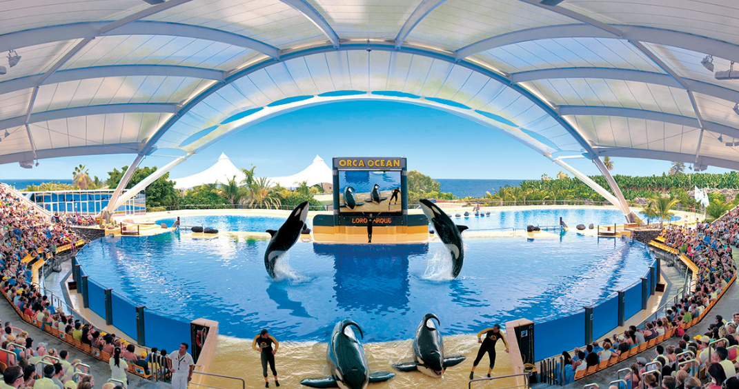 西班牙 海洋公园 特内里费岛鹦鹉公园(loro parque)门票(免排队购票
