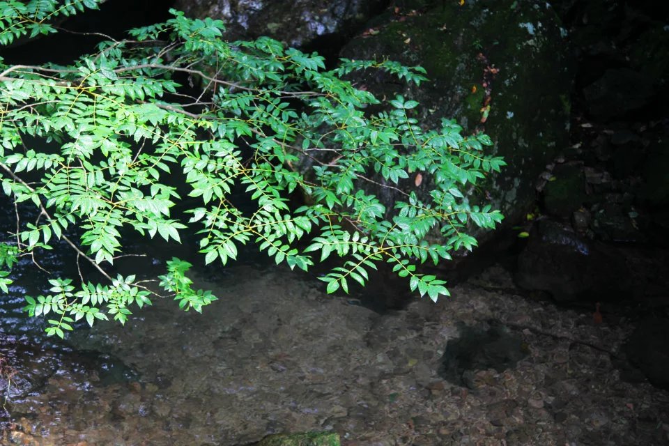 普陀山自助遊攻略