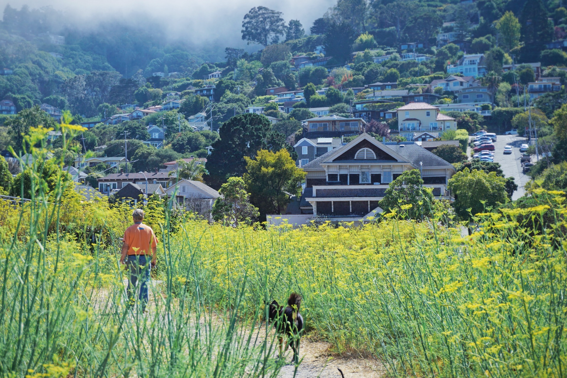 舊金山自助遊攻略