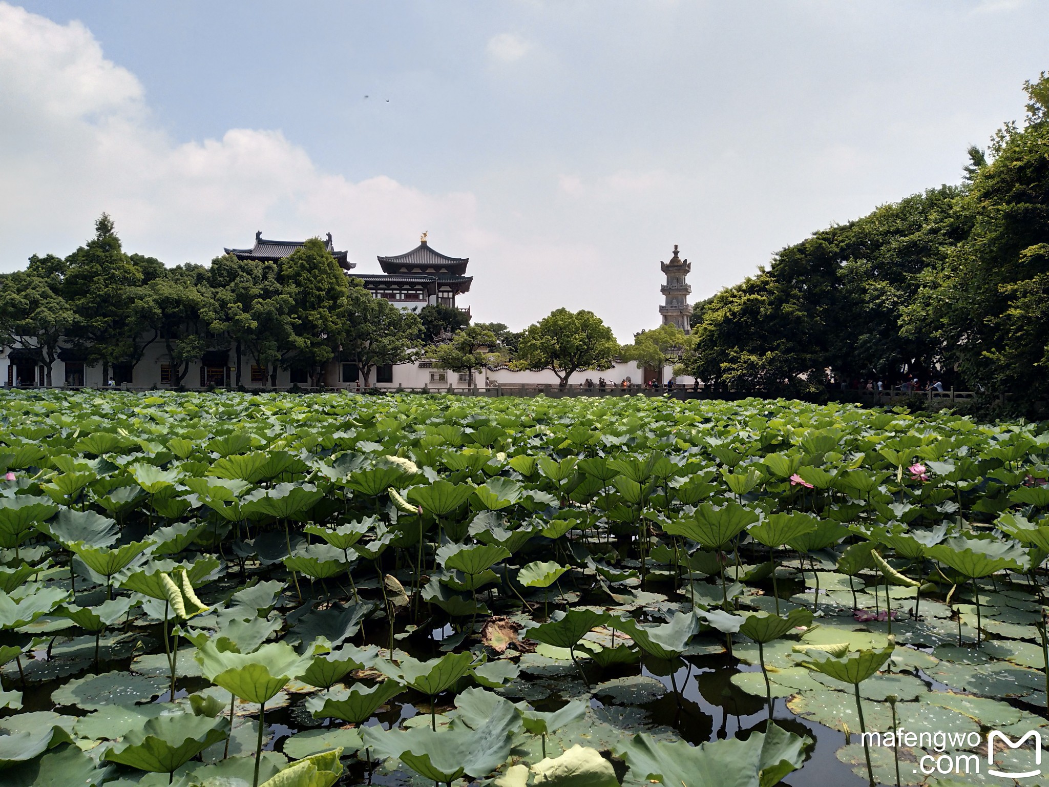 舟山自助遊攻略