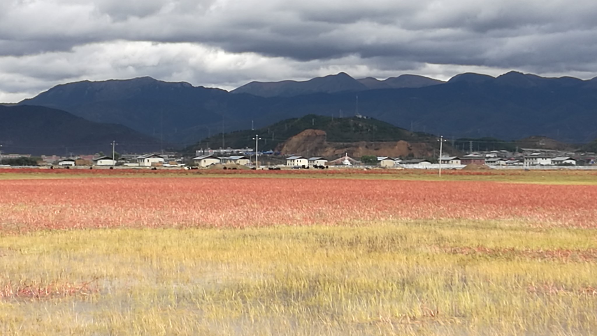 雨崩自助遊攻略