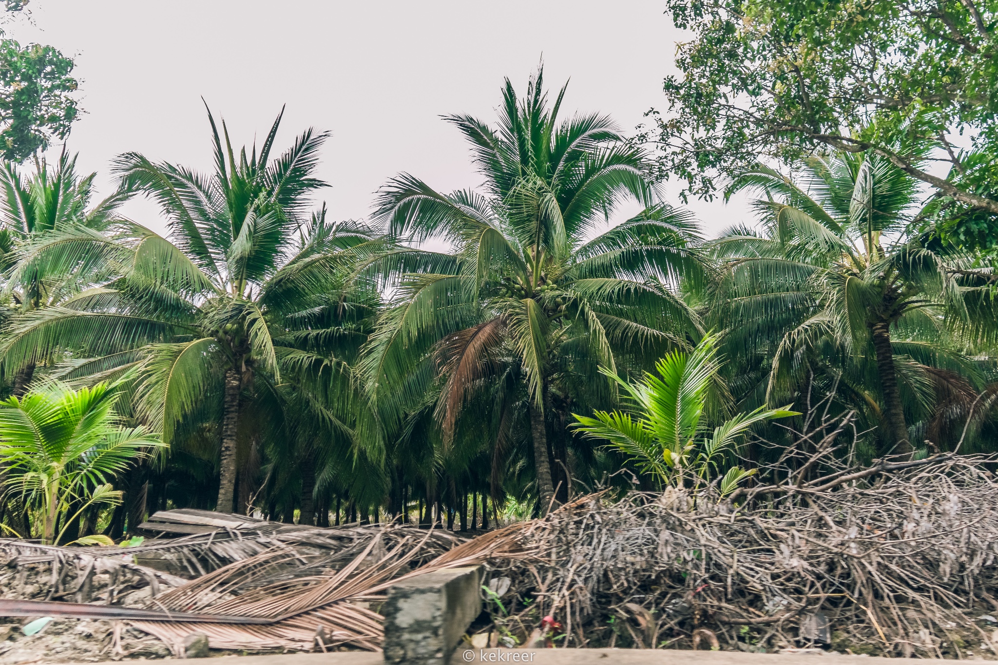 【逛吃浪事务局旅行档案】——泰国的四人八天非旅行团路线自由行图片